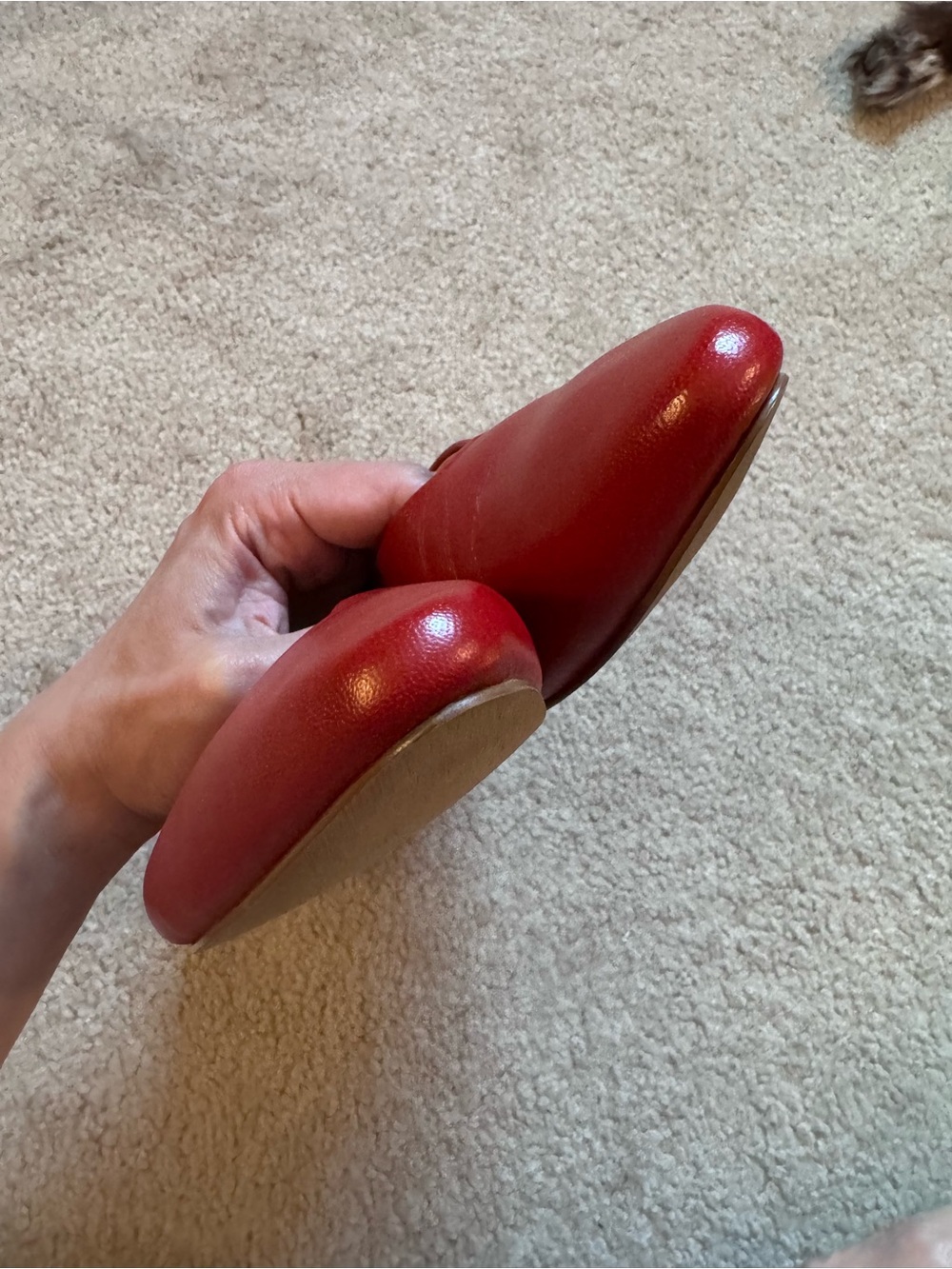Seychelles American Dreams Pointed Ballet Flats - Picture 8 of 10